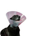 Comfort Recovery Collar