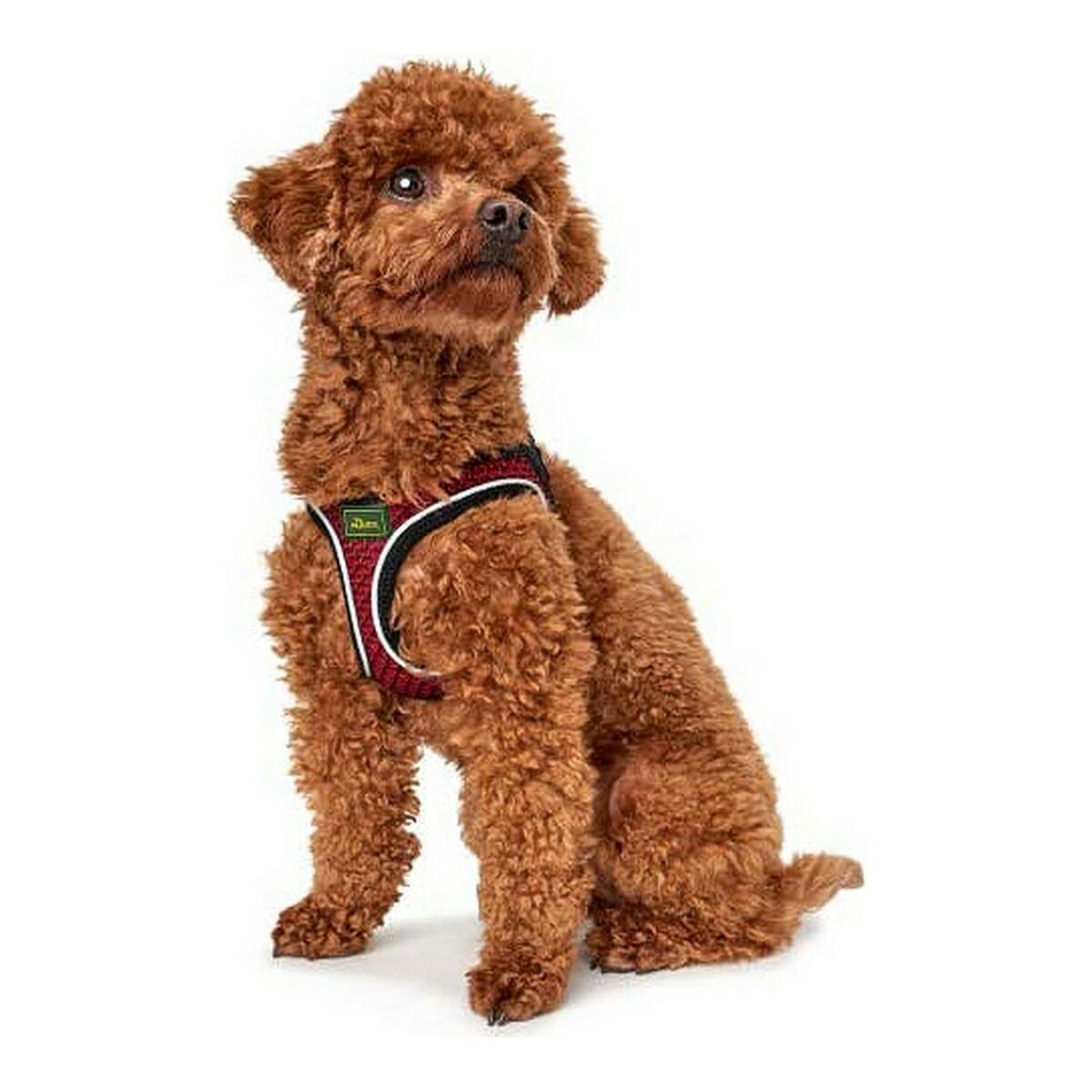 Comfortable Dog Walking Harness