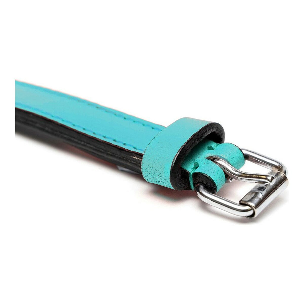 Premium Leather Dog Collar