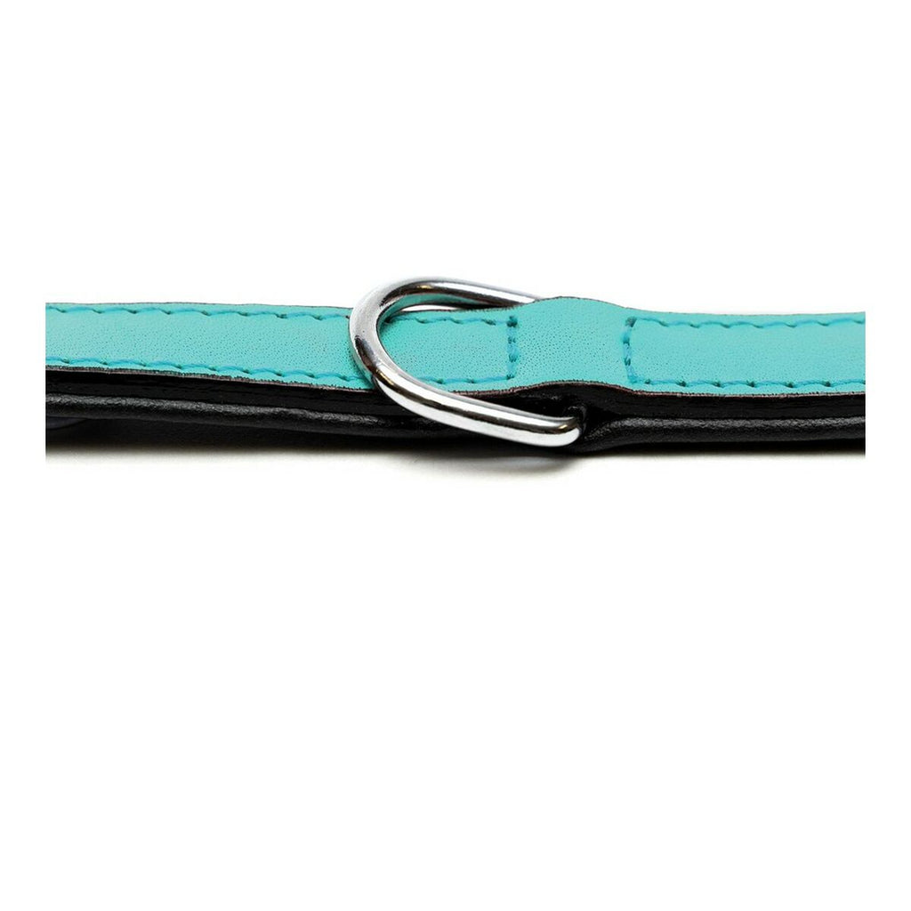 Premium Leather Dog Collar