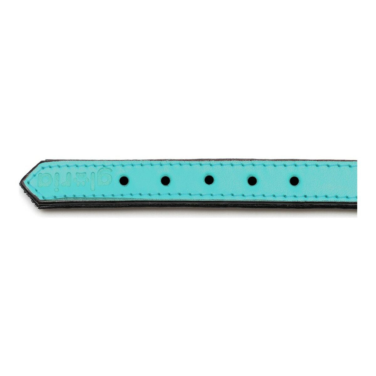 Premium Leather Dog Collar