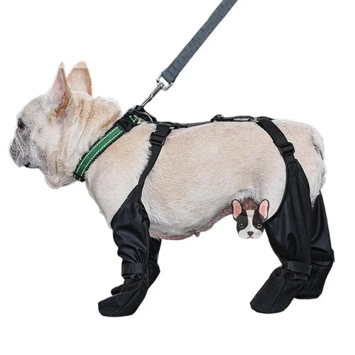 PawShield Waterproof Dog Boots
