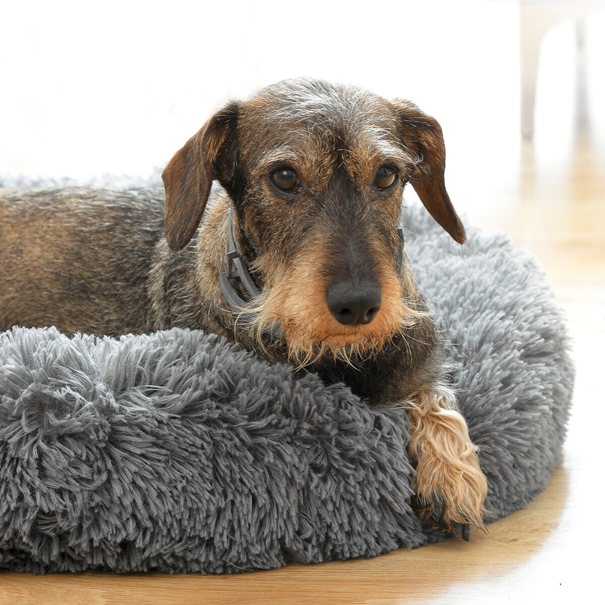 Round Comfort Pet Bed